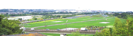 面談室窓の風景